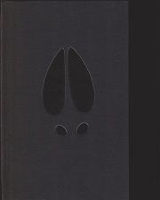 Sun Dog by Scott Walker